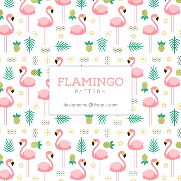 Flamenco summer pattern