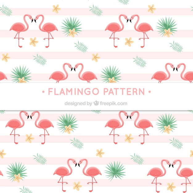 Flamenco summer pattern