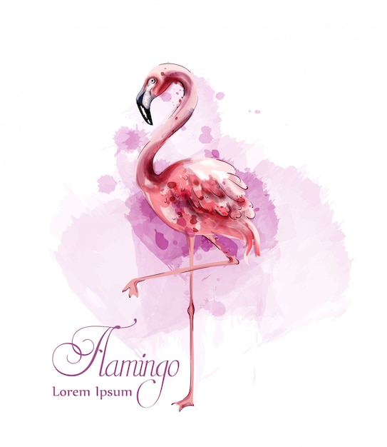 Flamingo aquarel