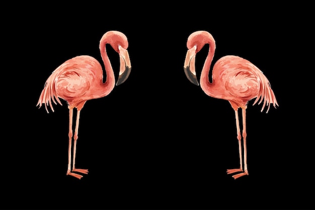 Vector flamingo art painting