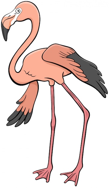 Flamingo bird animal character cartoon illustration