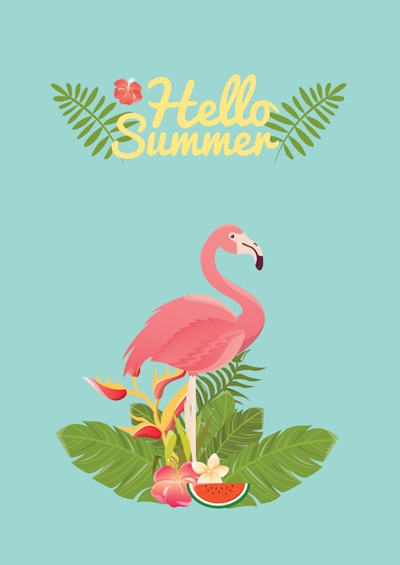 Vector flamingo bird illustration design