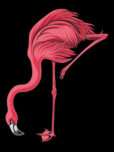 Vector flamingo bird illustrator vector design for elements, editable colors