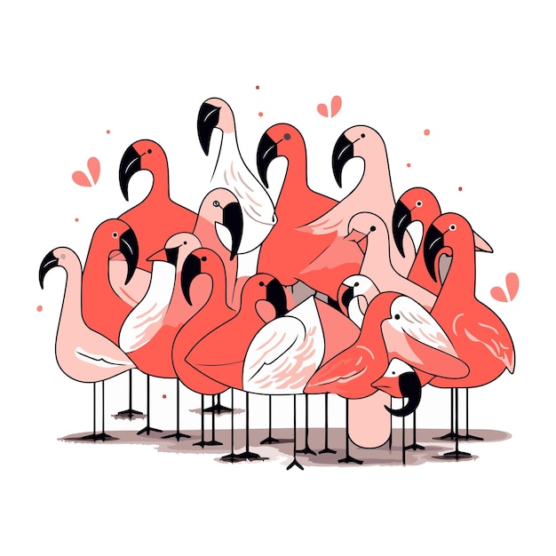 Flamingo birds vector illustration of a group of flamingos
