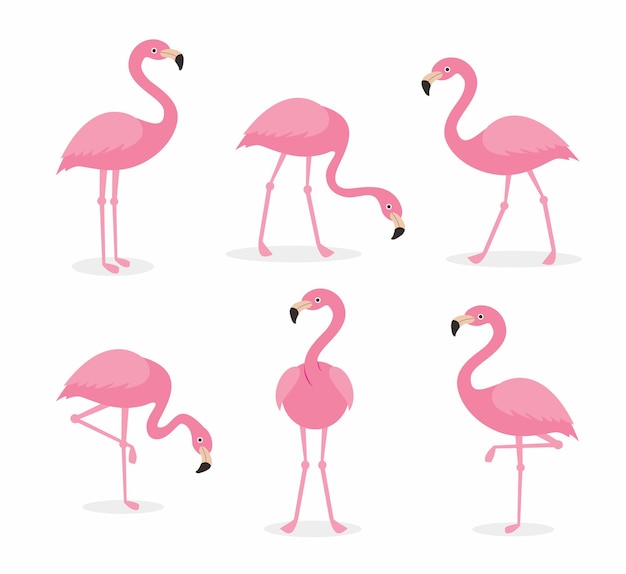 Set di collezioni di cartoni animati flamingo