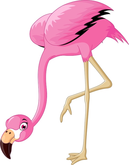 flamingo cartoon isolated