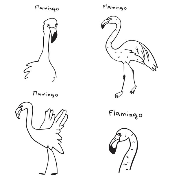 Flamingo. collection of birds. outline vector illustrations.