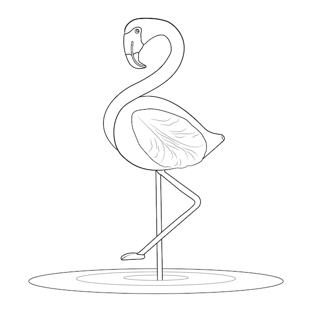 Vector flamingo coloring page