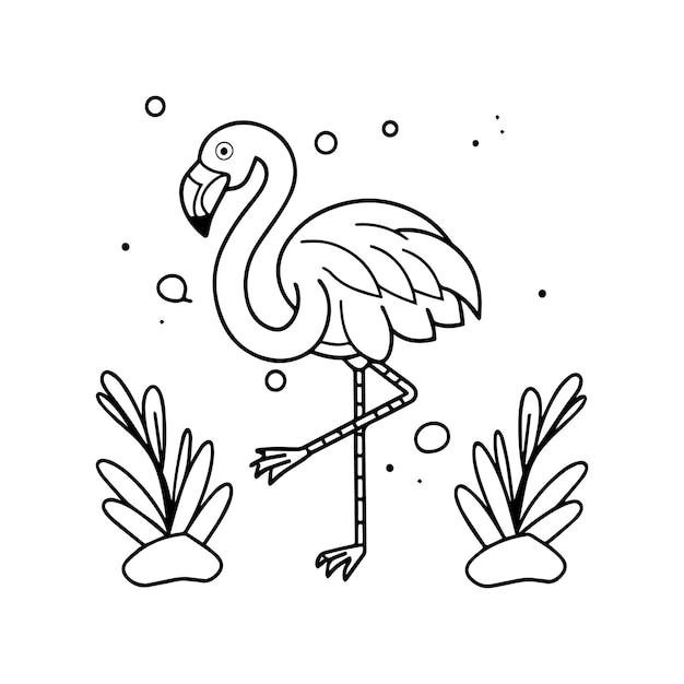 Vector flamingo coloring pages flamingo outline vector for coloring book