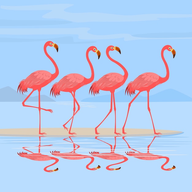 Flamingo die op het strand loopt.