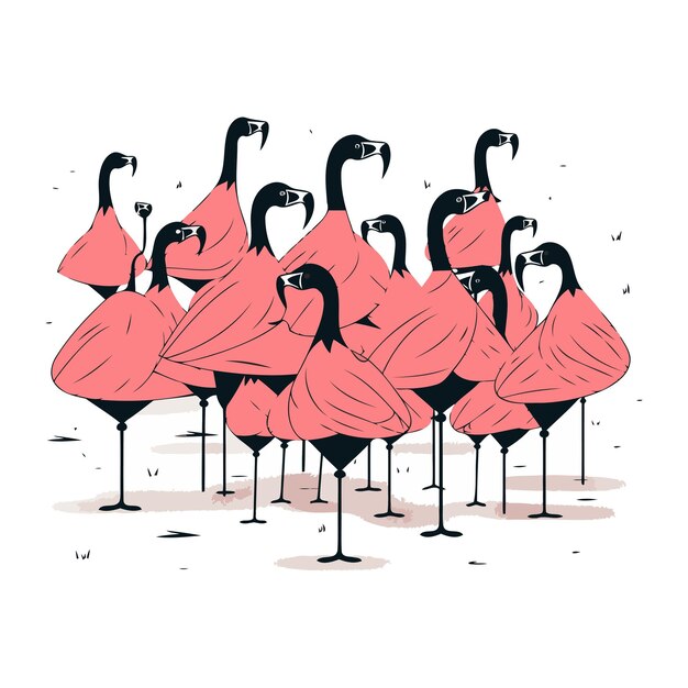 Flamingo family vector illustration of a group of flamingos