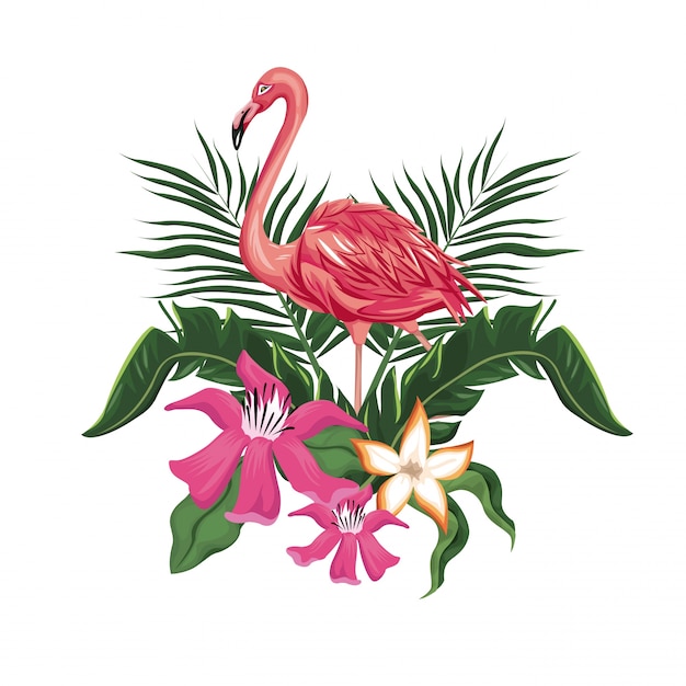 flamingo flowers exotic tropical bird