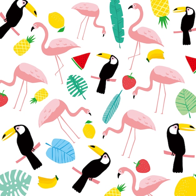 Flamingo, hornbill, summer