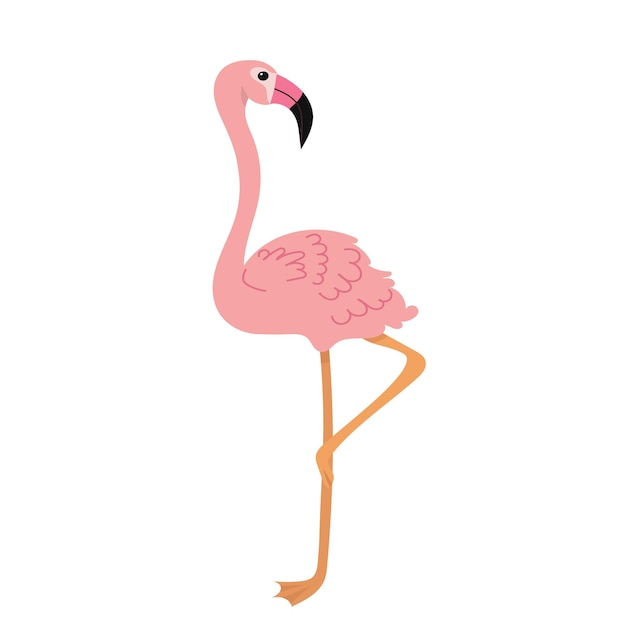 фламинго розовый на белом фоне вектор