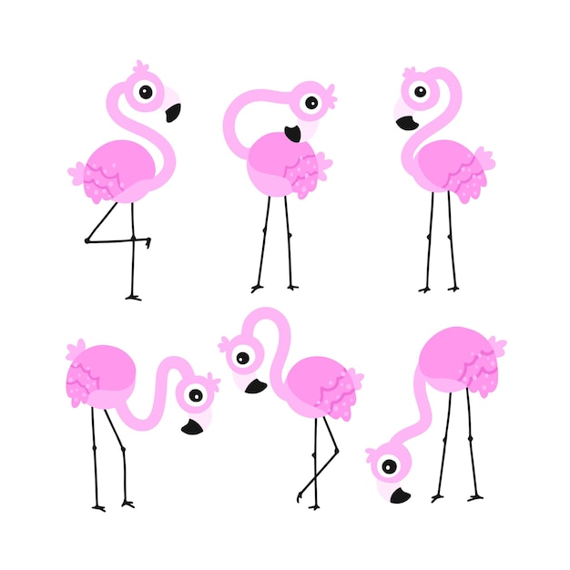 Vector flamingo set