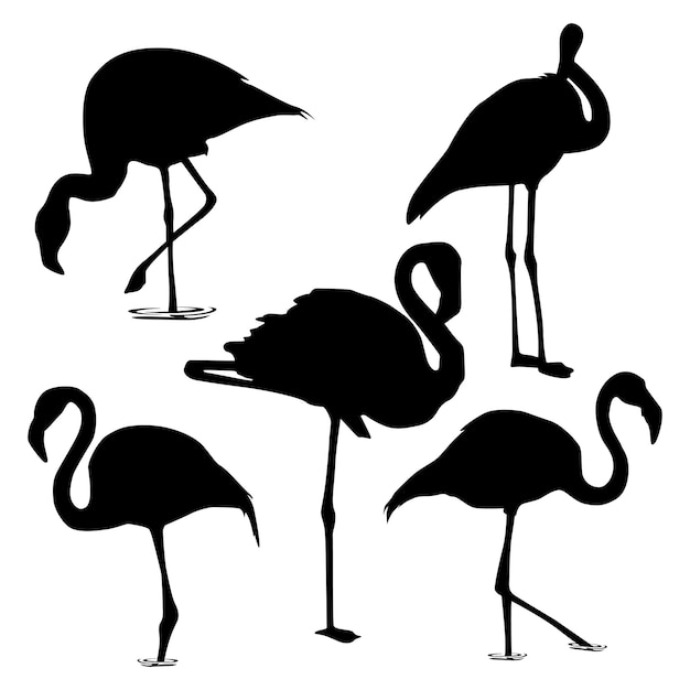 Vector flamingo silhouet illustratie collectie