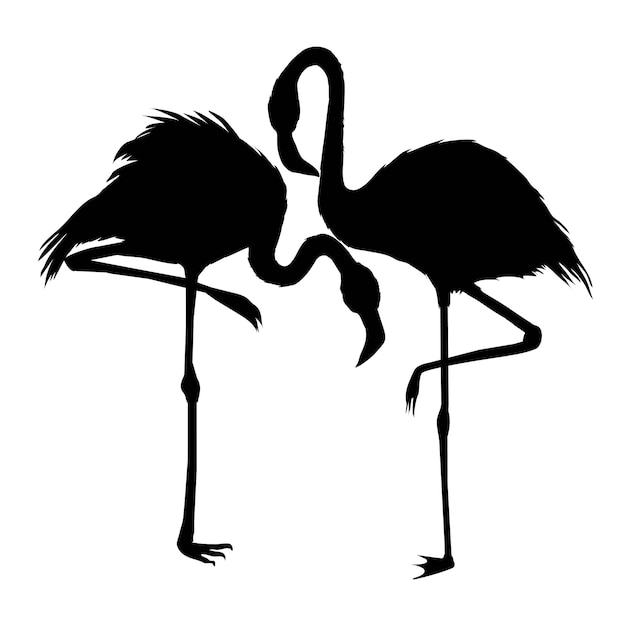 Vector flamingo silhouet, vector bestand van vogel, illustratie