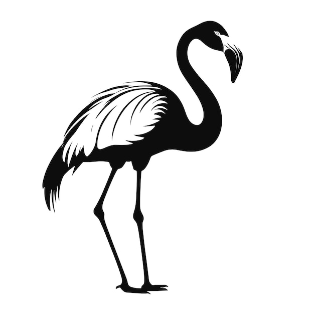 Flamingo silhouette vector illustration