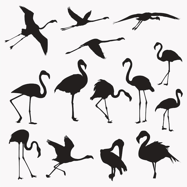 Flamingo silhouetten