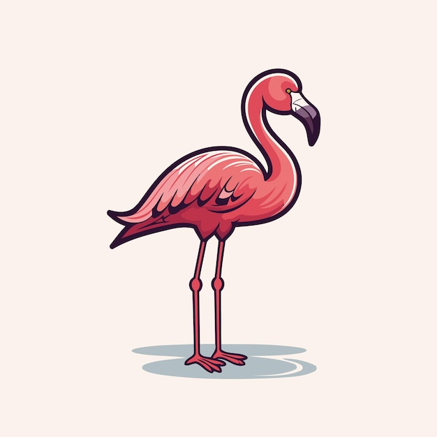 Flamingo vector illustration Cartoon flamingo isolated on white background