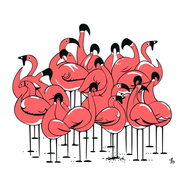 Flamingo Vector illustration of a group of flamingos