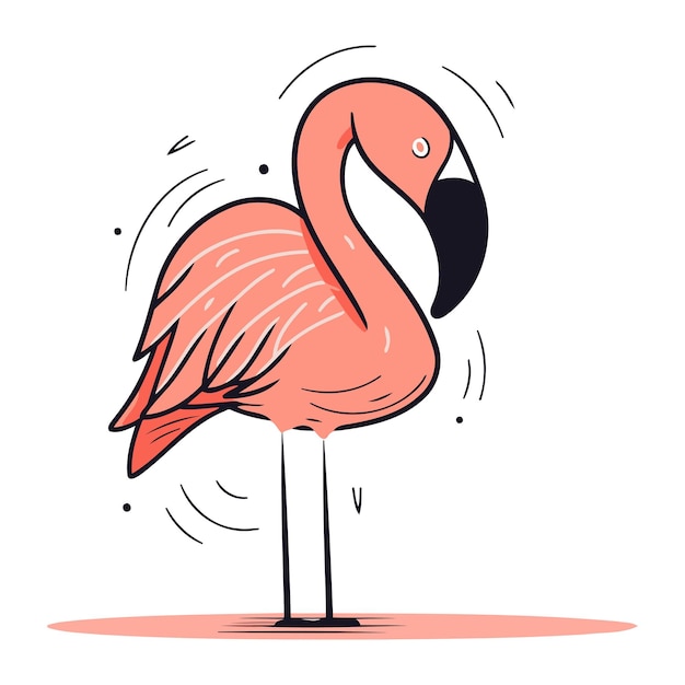 Illustrazione di flamingo vector isolata su sfondo bianco