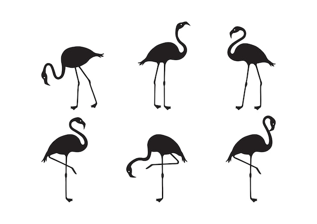 Flamingo vector pictogram tropische vogel zomer dier set schattig dierentuin karakter zwarte silhouetten