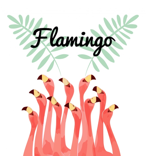 Vector flamingo vogel illustratie ontwerp