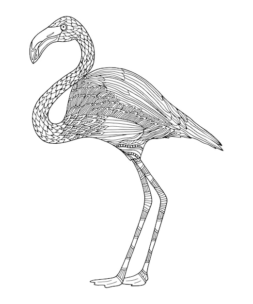 Vector flamingo