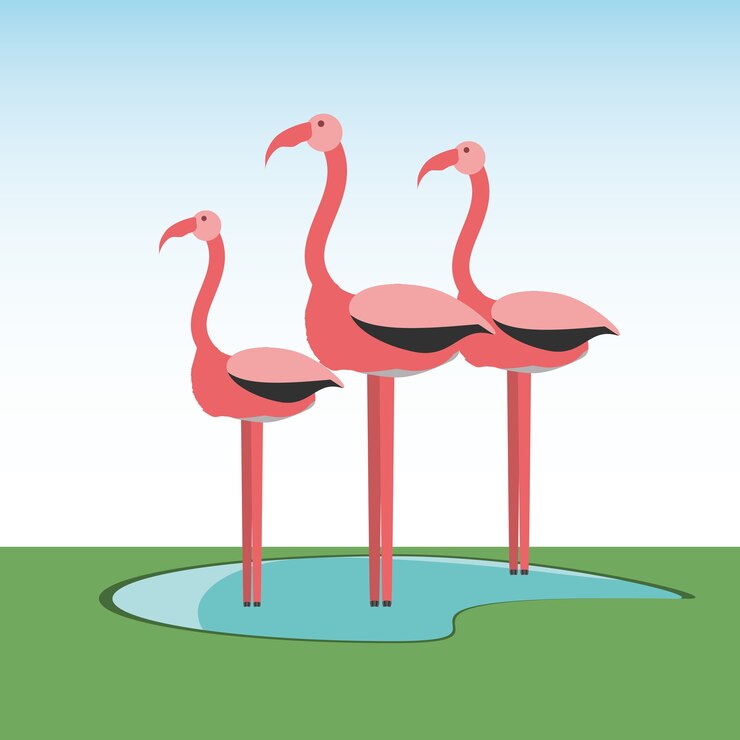 Vector flamingos bird icon