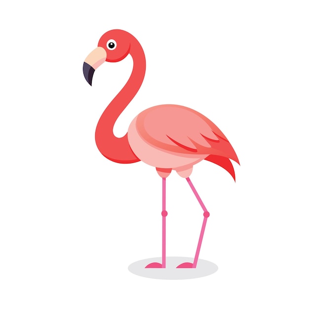 Flamingo piatto illustrazione vettoriale su sfondo bianco