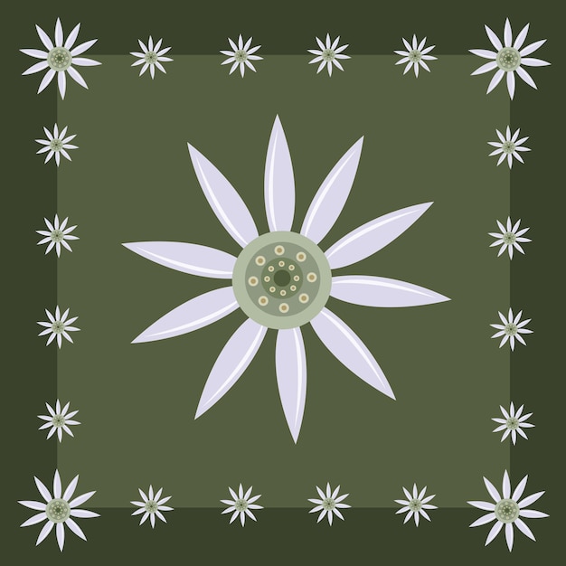 Flannel flower wallpaper and background