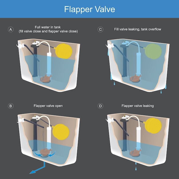 플래퍼 밸브. 그림은 변기에 중요한 구성 인 플래퍼 밸브를 작동하는 방법을 설명합니다.