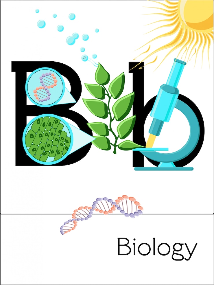 वेक्टर flash card letter b is for biology