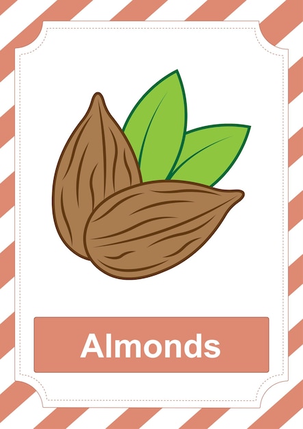 Flashcard Almonds