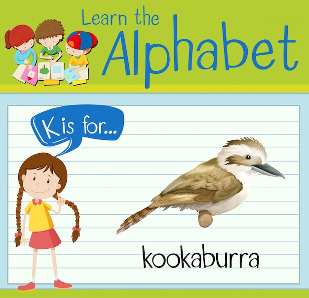 Flashcard alphabet k is for kookaburra