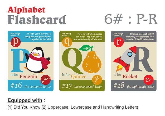 Flashcard alphabet P Q R in 3 different color with information vector