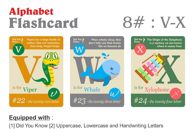 정보 벡터가 포함된 3가지 다른 색상의 Flashcard 알파벳 VWX
