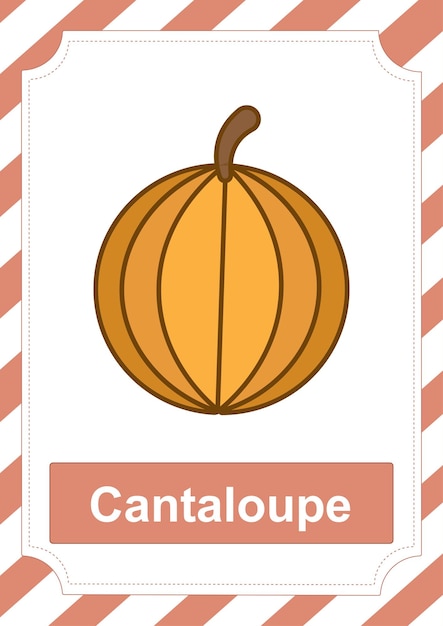 Flashcard Cantaloupe