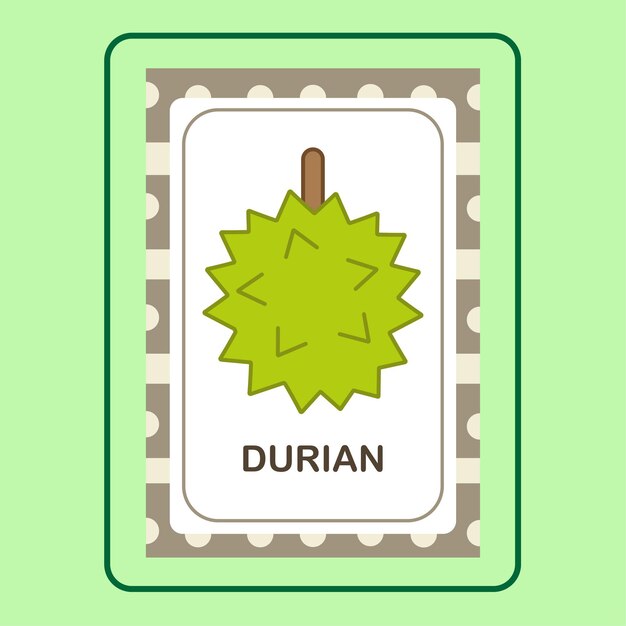 Flashcard durian