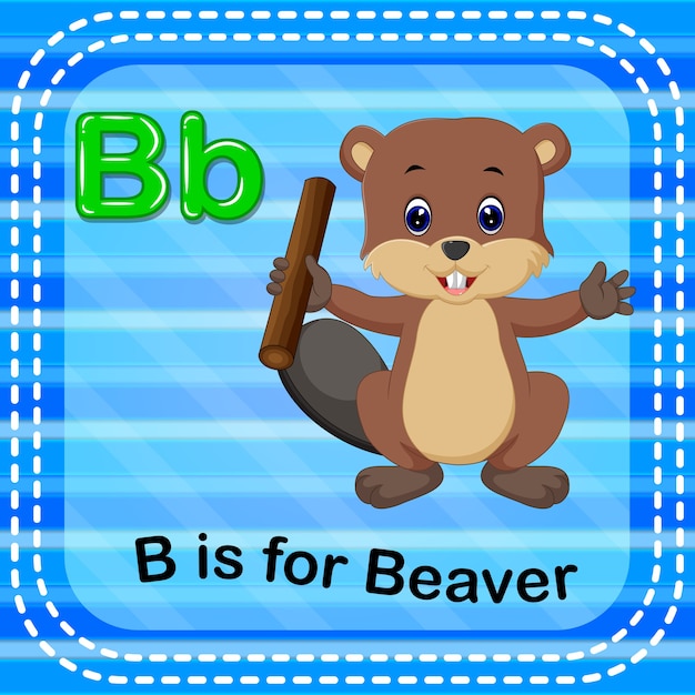 Flashcard letter b is for beaver