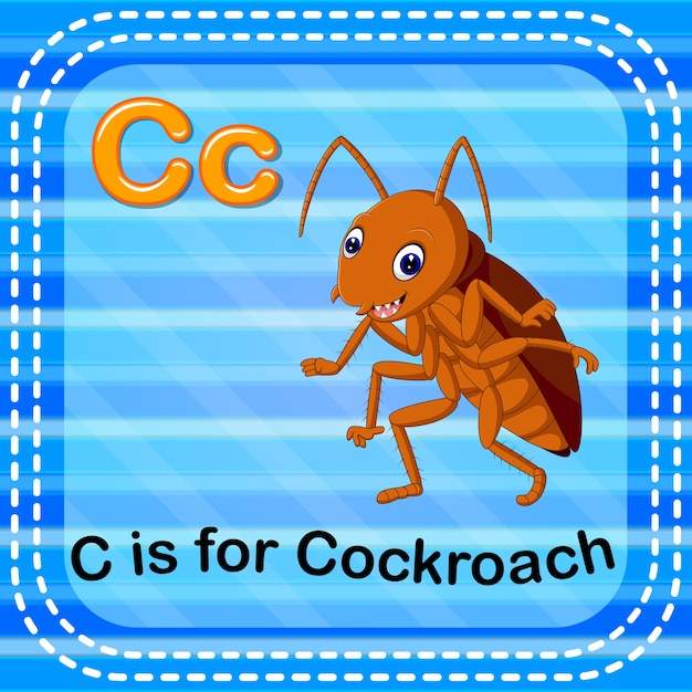 Flashcard letter c is voor kakkerlak