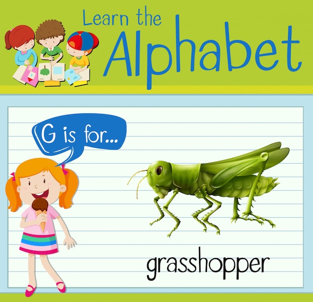 Vector flashcard letter g is for grasshopper