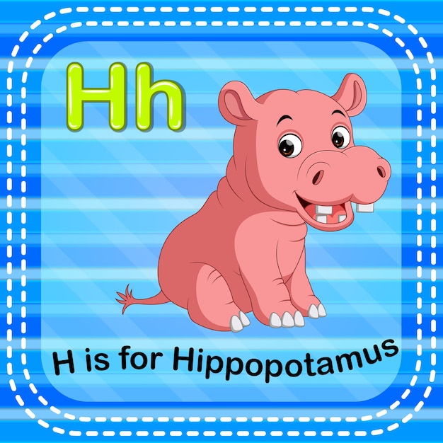 Flashcard letter h is for hippo