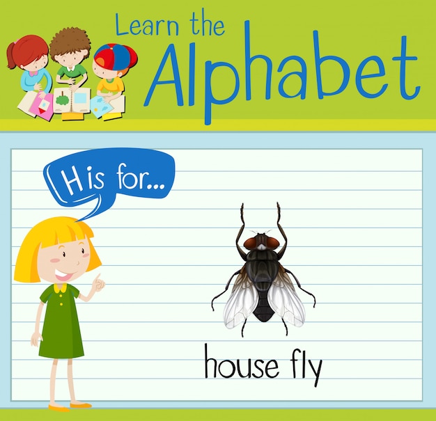 Flashcard letter H is for house fly