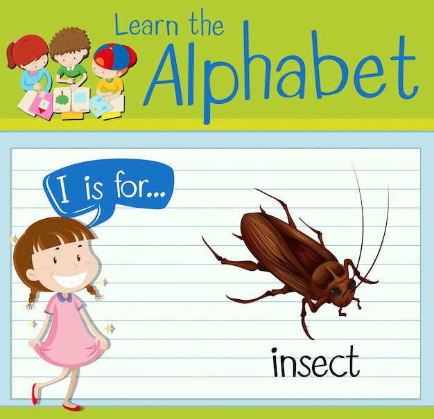 Flashcard letter I is for insect