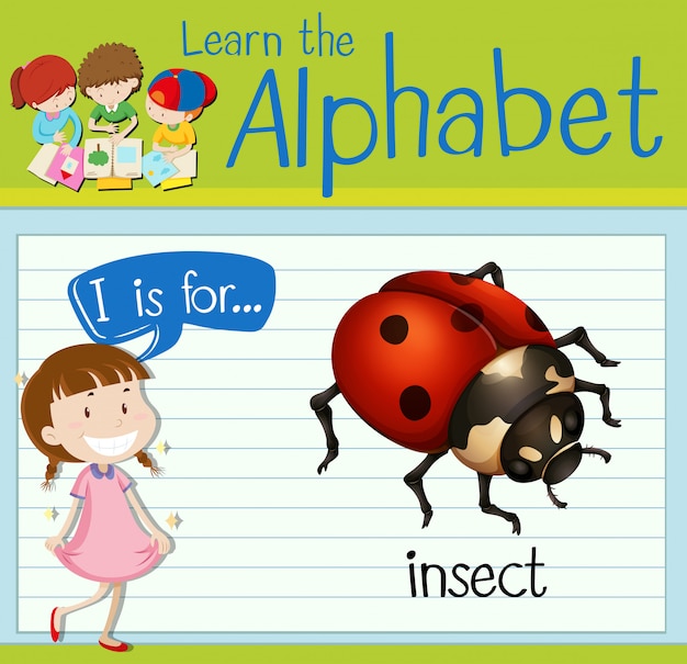 Vettore flashcard letter i is for insect