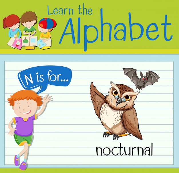 Flashcard letter N is for nocturnal