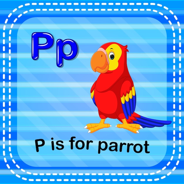 플래시 카드 문자 p는 앵무새입니다