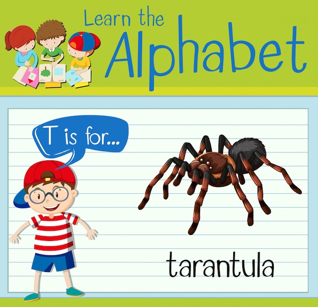 Flashcard letter t is for tarantula